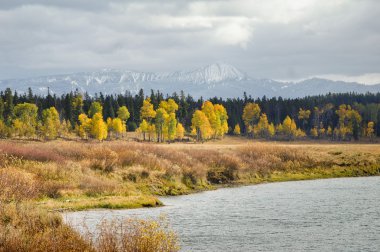 Grand Teton Autumn clipart