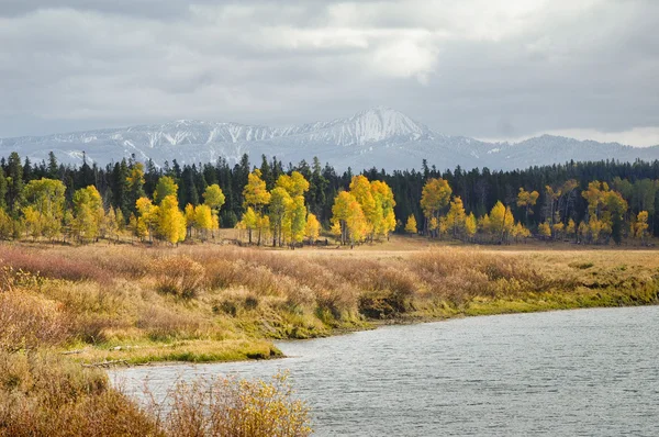 Grand Teton Autumn — Stock Photo, Image