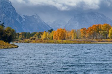 Grand Tetons sonbahar şan