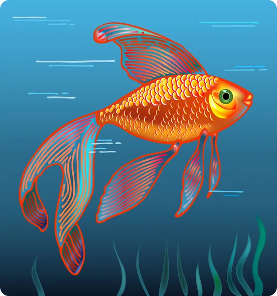 Gouden vissen — Gratis stockfoto
