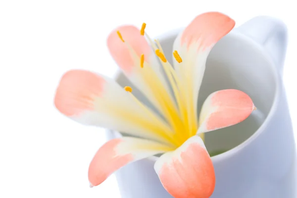 Puchar i kwiat bliska — Zdjęcie stockowe
