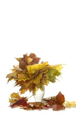 Yellow leaves in vase clipart