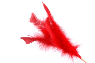 Red feather clipart