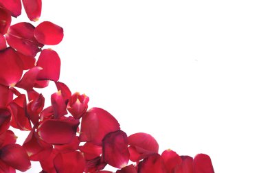 Red petals clipart