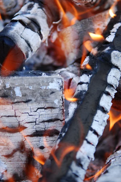 Fuego en la chimenea — Foto de Stock