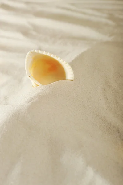 Коктейль на песке — стоковое фото