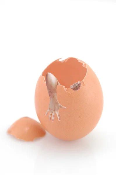 Insanlar ellerini yumurta yumurtadan çıkmış. — Stok fotoğraf