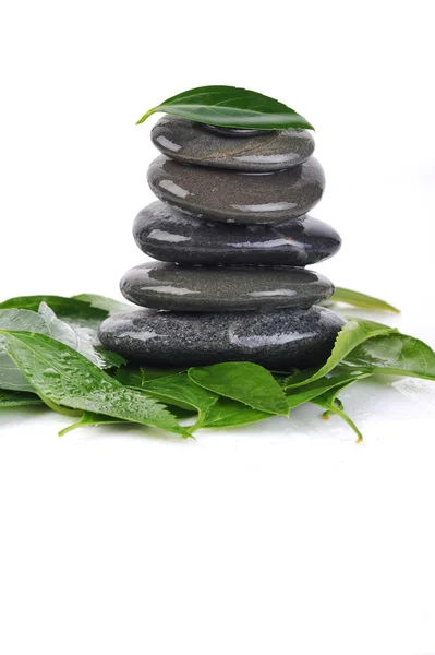 Stones and green leaves — Stock Photo, Image