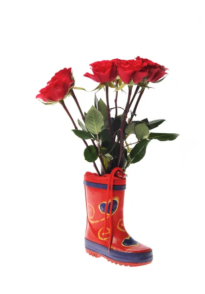 Petite chaussure pour enfants avec roses — Photo