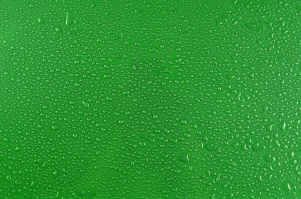 Water drops on green