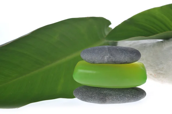 Zöld soap és szivacs — Stock Fotó
