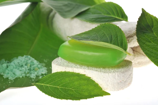Zelené mýdlo a houba — Stock fotografie