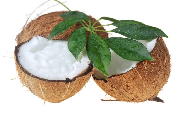 Olej kokosowy i liści — Zdjęcie stockowe