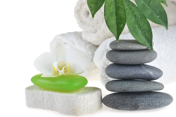Zelené mýdlo, kameny a čerstvé listy — Stock fotografie