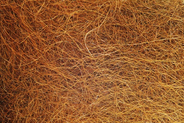 Hay texture — Stock Photo, Image