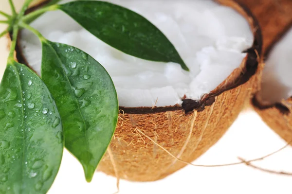 Rijp kokosnoot en bladeren — Stockfoto