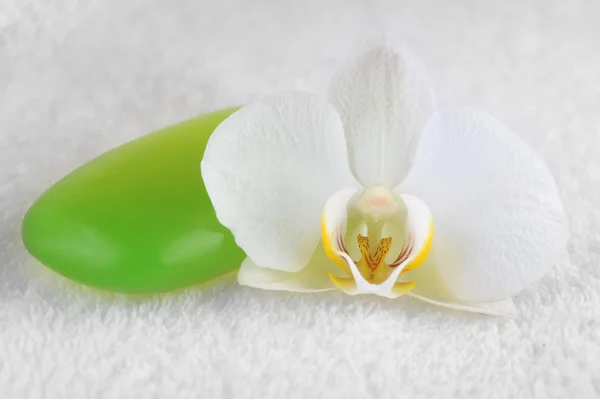 Grön tvål och orkidé — Stockfoto