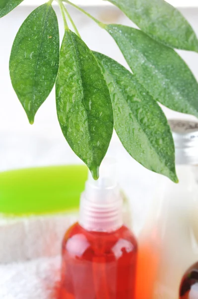 Soap and leaves — Stock Photo, Image