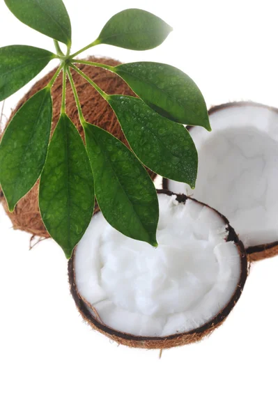 Сломанный спелый кокос — стоковое фото