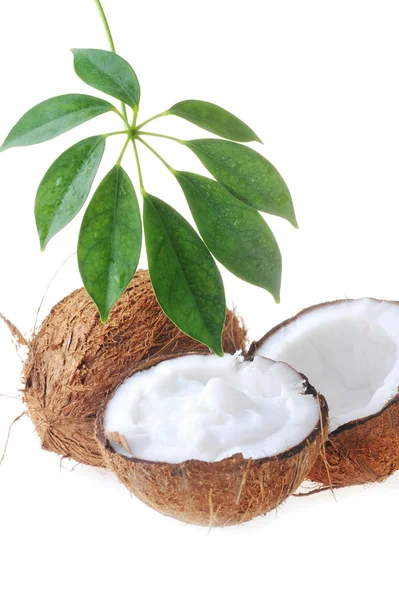 Сломанный спелый кокос — стоковое фото