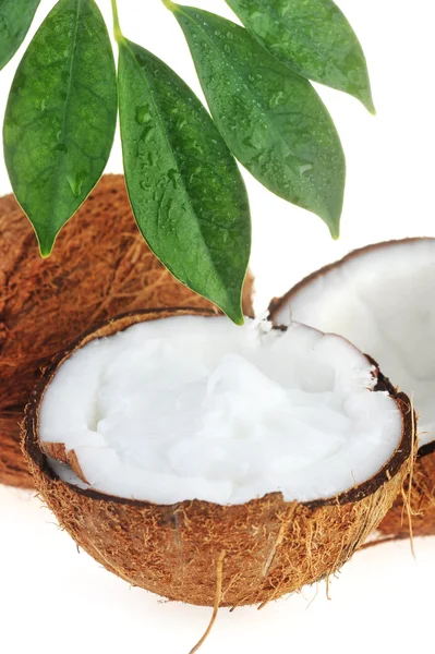 Gebroken rijp kokosnoot — Stockfoto