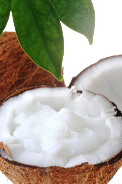 Nefunkční zralé kokosové — Stock fotografie