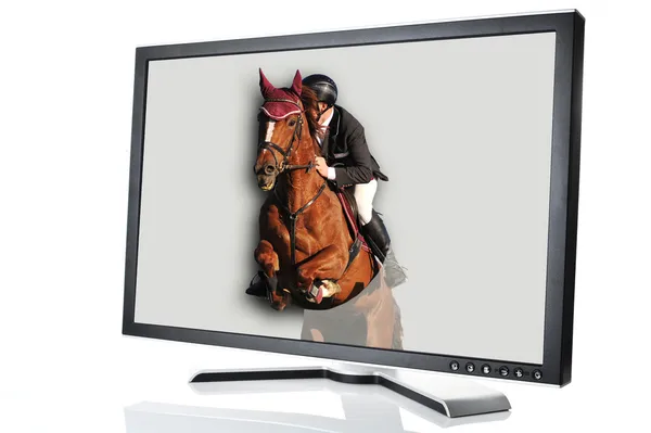 Monitor moderno com cavalo pulando para fora — Fotografia de Stock