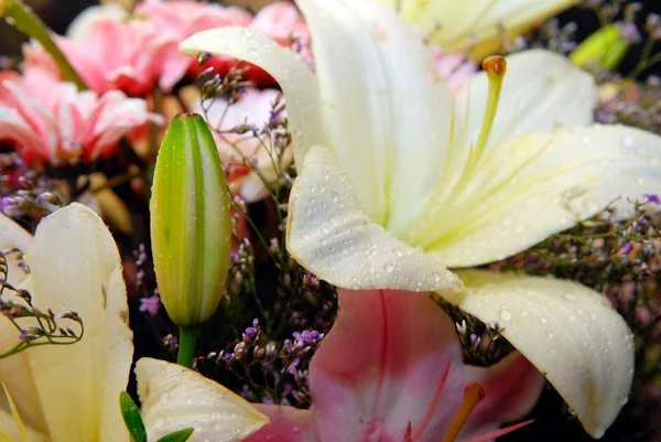 Buquê de belas flores — Fotografia de Stock