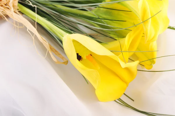 Stock image Five yellow calla lilies