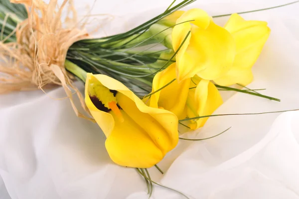 Flores amarelas em branco — Fotografia de Stock