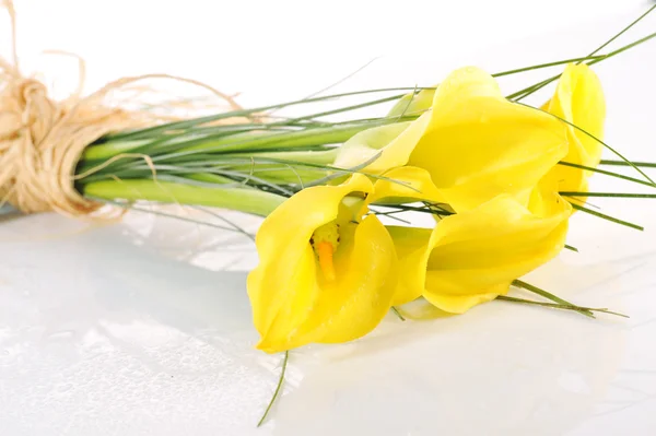 stock image Bouquet from five yellow calla lilies