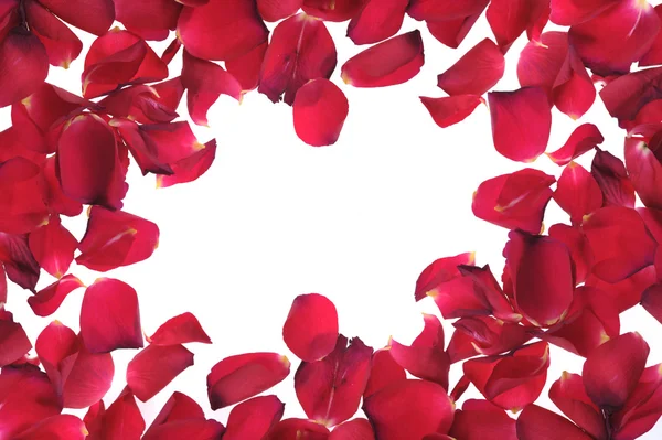stock image Red petals