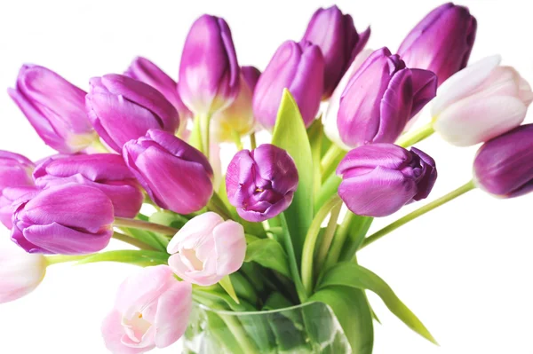 Tulipany w wazonie szkła — Zdjęcie stockowe