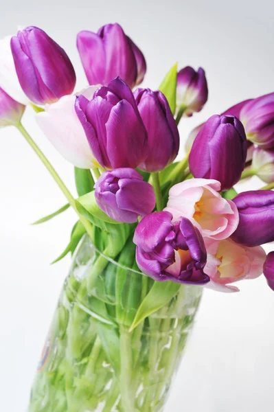 Тюльпаны в стеклянной вазе — стоковое фото