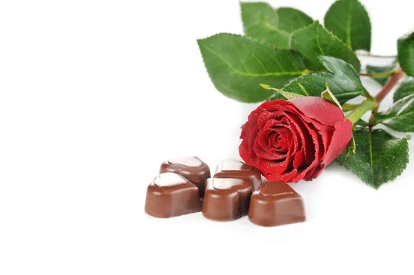 Chocolate and red rose — Stock Photo, Image