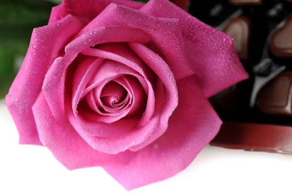 초콜렛과 핑크 로즈 — 스톡 사진