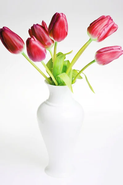 Tulips in vase — Stock Photo, Image