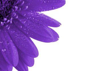 Fantasy purple flower clipart