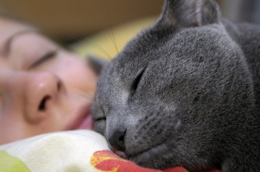 Cat and girl sleep clipart