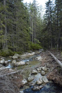 dağlarında dağ Nehri