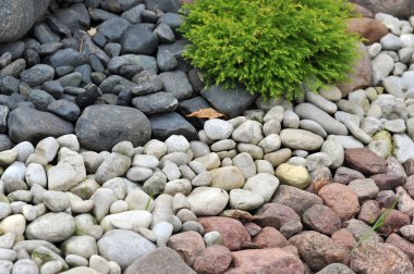 Backyard decorated with stones clipart