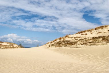 Baltık Denizi 'ndeki kum tepeleri