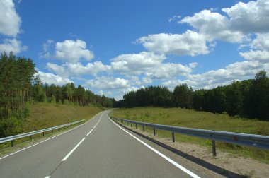 Ormanda yol