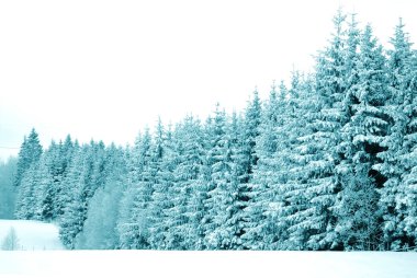 Trees with snow clipart