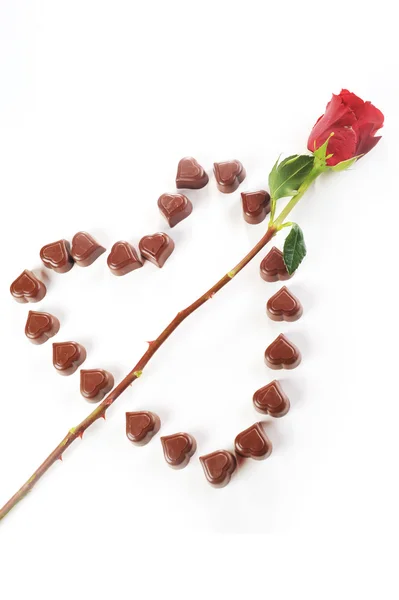 Bonbons au chocolat et rose — Photo