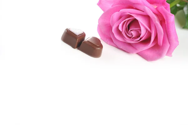 Rose et chocolat — Photo