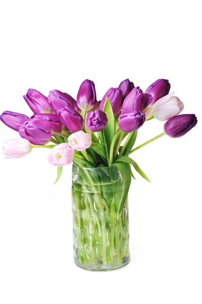 Tulipaner i glas vase - Stock-foto