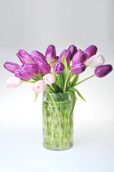 Тюльпаны в стеклянной вазе — стоковое фото