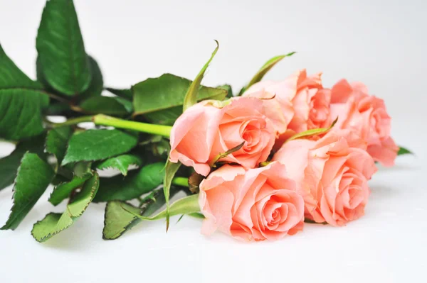Bunch of roses — Stock Photo, Image