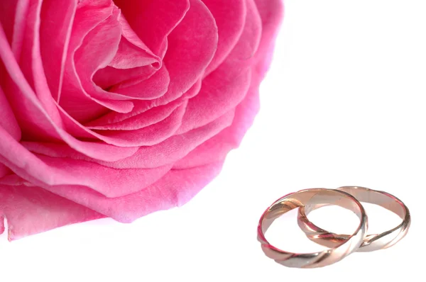 Rosa Rosa con anillos — Foto de Stock